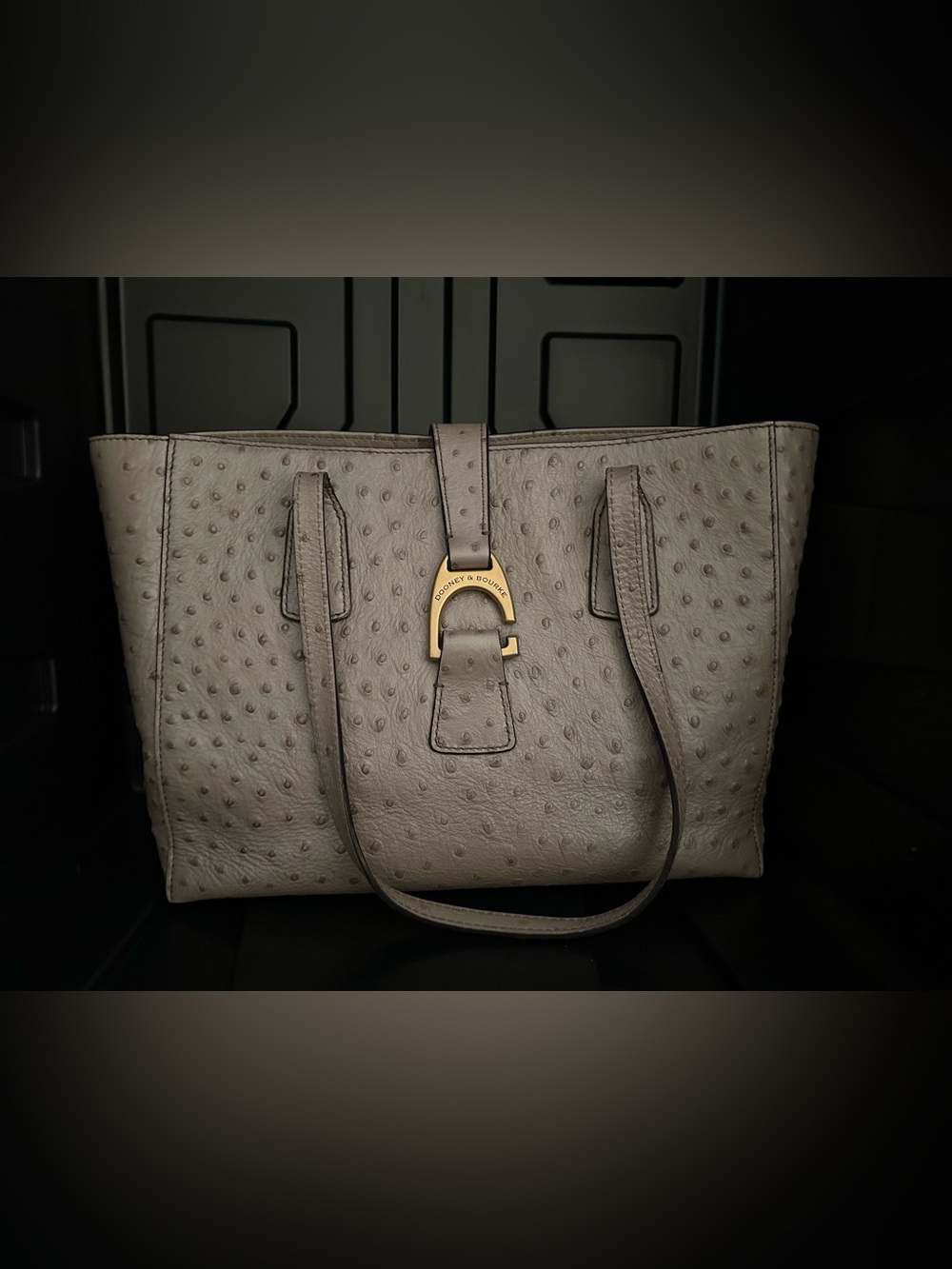 Dooney & Bourke Taupe Ostrich-Embossed Leather Tote with Gold Hardware